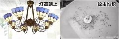 具进来后全数给盖住了